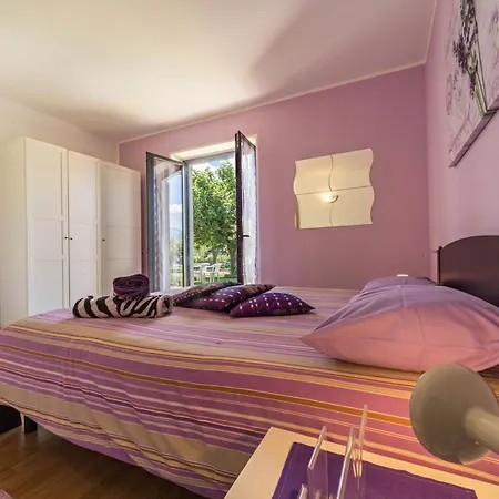 Viola Zia Vivina Appartement Cresciasca